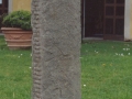uomo