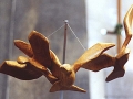 Volo